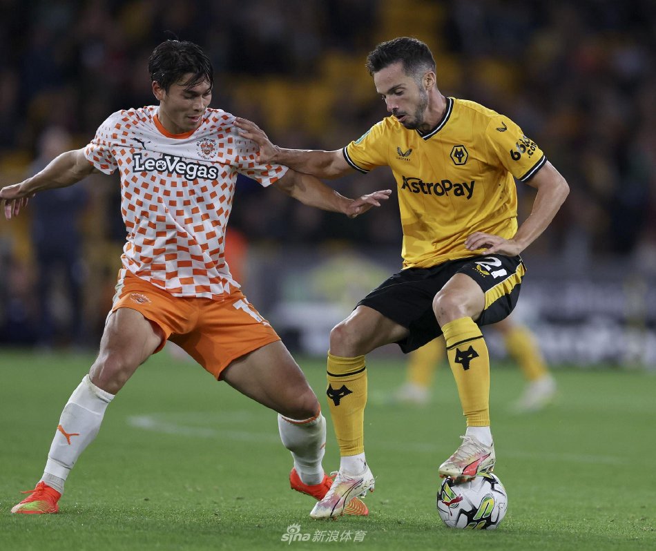 这些例子不 这些例子不